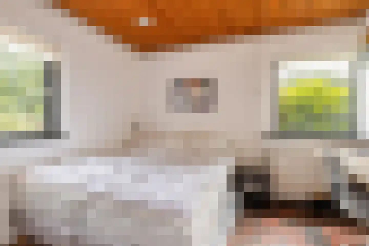 Kosmoslaan 21 Eindhoven thumbnail 39