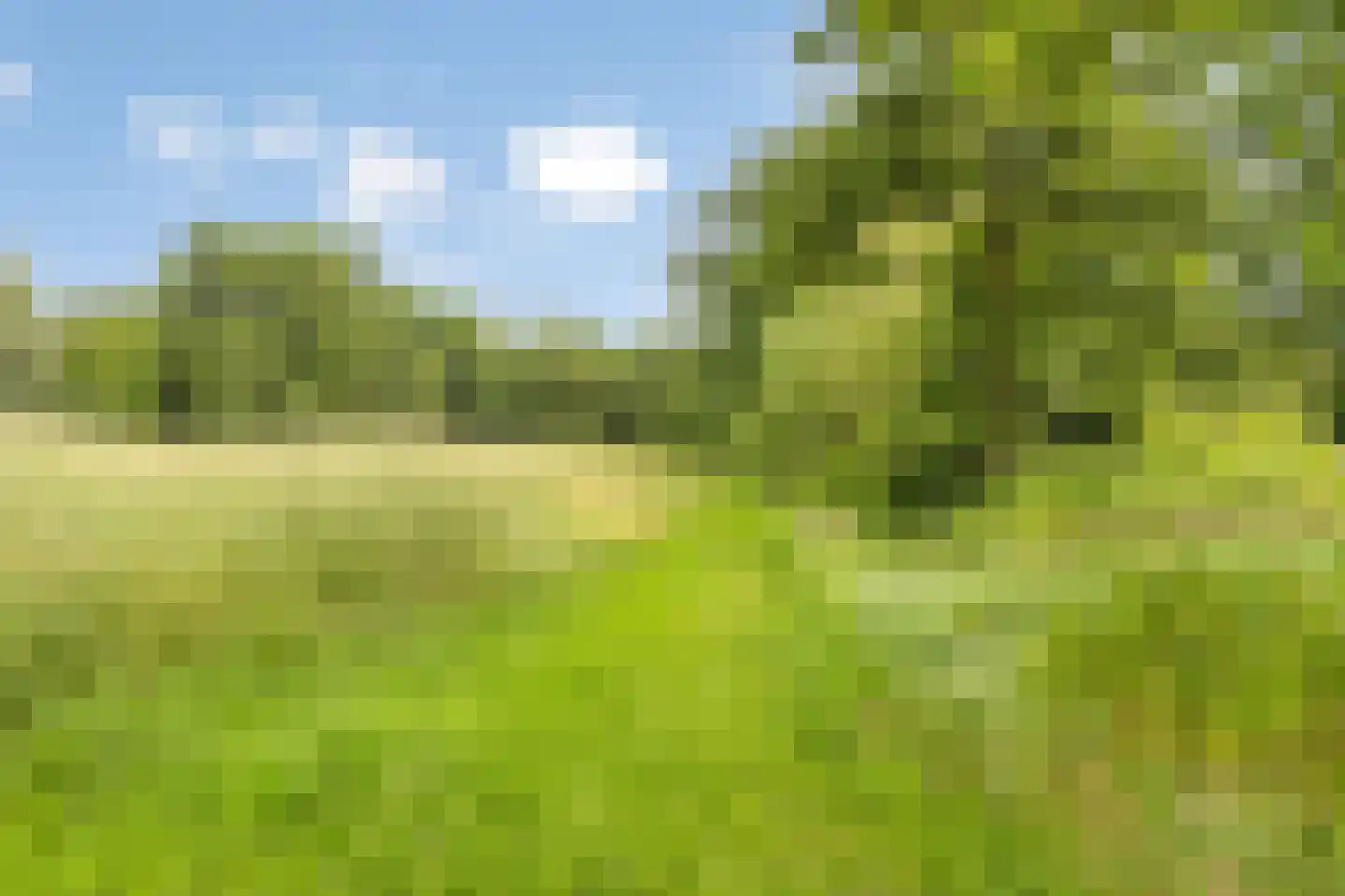 Kosmoslaan 21 Eindhoven thumbnail 71