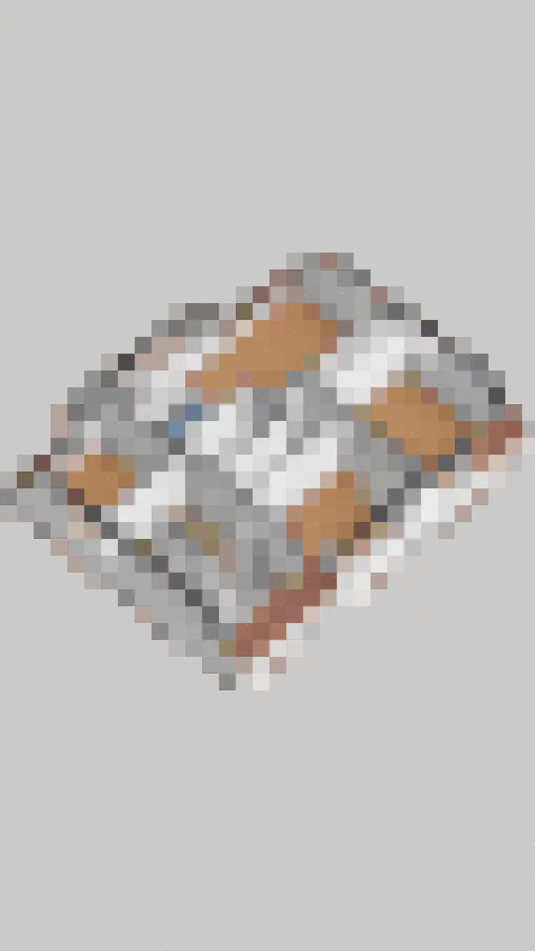 Kosmoslaan 21 Eindhoven thumbnail 83