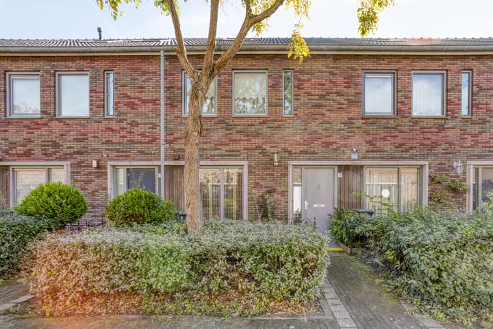 Kospad 31 in Amsterdam foto