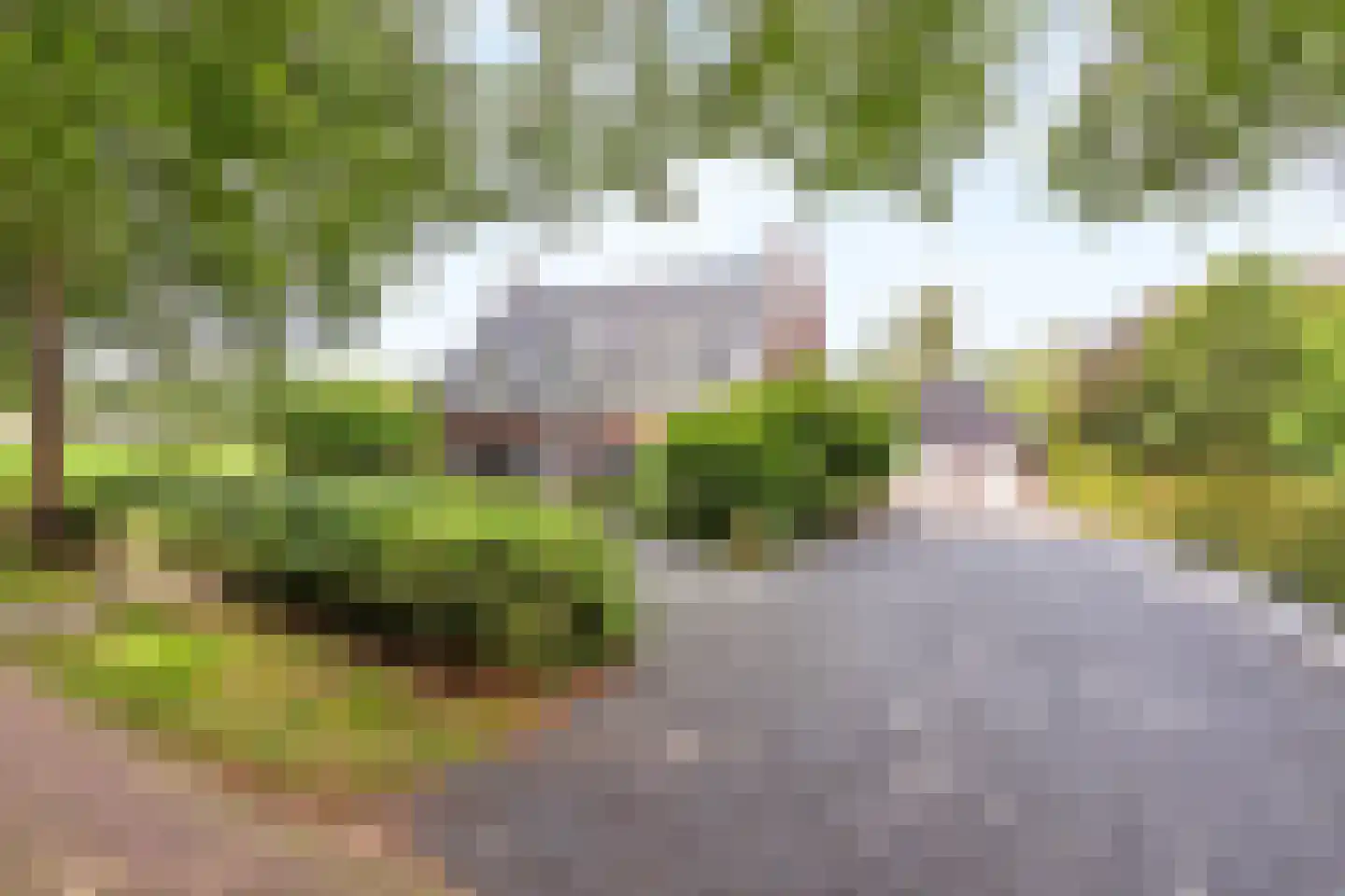 Kosteeweg 11 Hellendoorn thumbnail 24