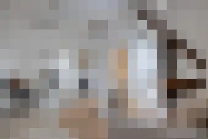 Koster Gijzensteeg 3 in Gouda