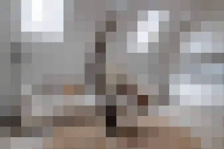 Koster Gijzensteeg 3 Gouda thumbnail 14