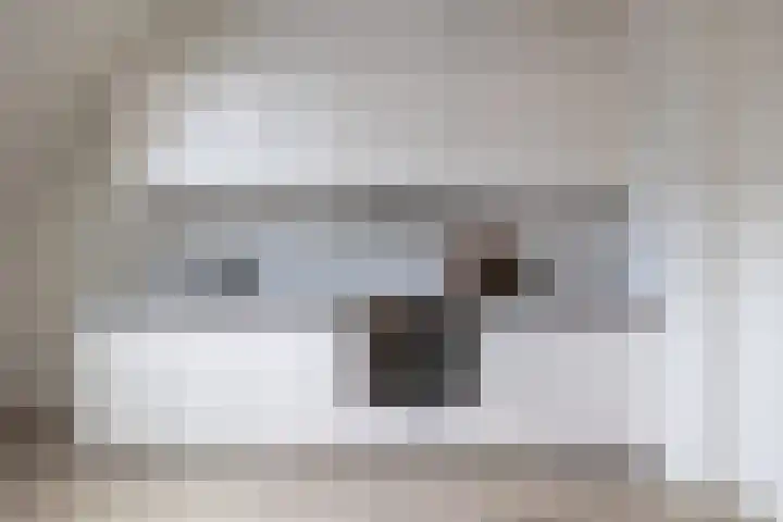 Koster Gijzensteeg 3 Gouda thumbnail 17