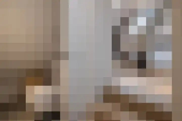Koster Gijzensteeg 3 Gouda thumbnail 18