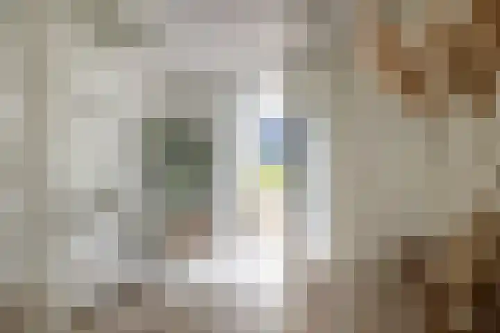 Koster Gijzensteeg 3 Gouda thumbnail 8