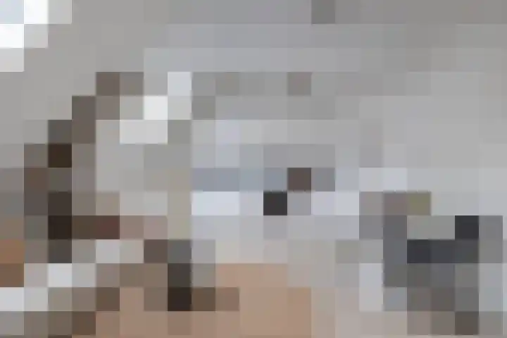 Koster Gijzensteeg 3 Gouda thumbnail 9