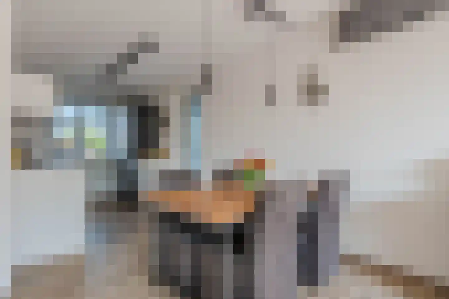 Koster Nelissenstraat 1 Oirlo thumbnail 15