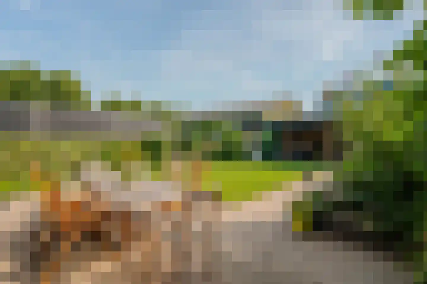 Koster Nelissenstraat 1 Oirlo thumbnail 37