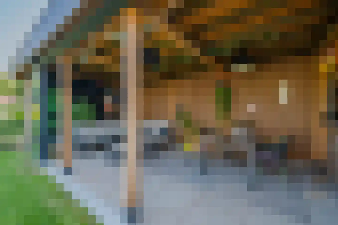 Koster Nelissenstraat 1 Oirlo thumbnail 42