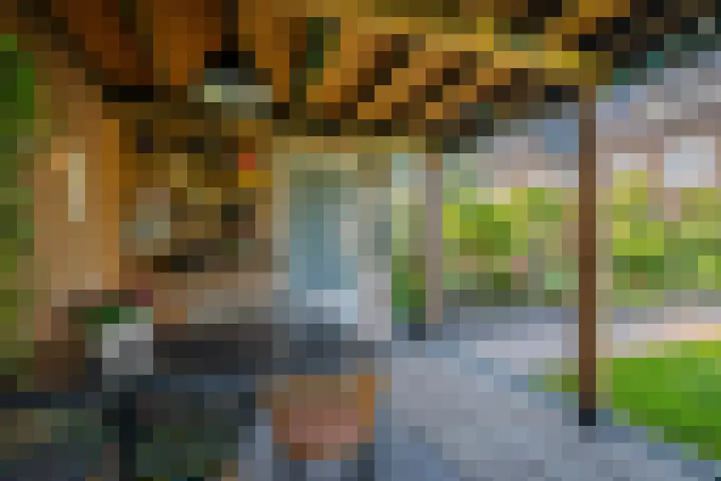 Koster Nelissenstraat 1 Oirlo thumbnail 46