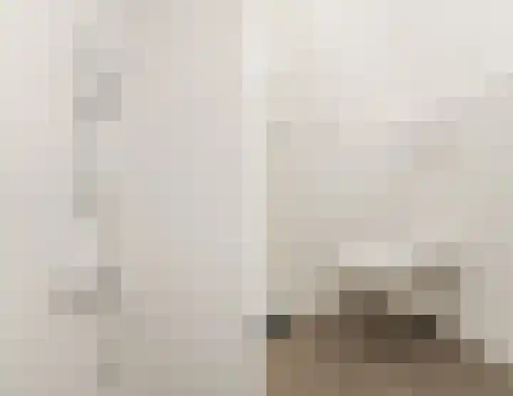 Koster Nelissenstraat 3 Oirlo thumbnail 22