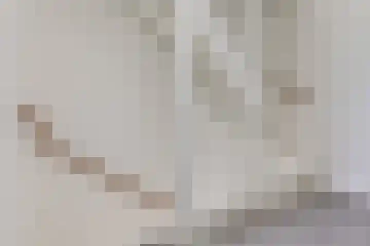 Koster Nelissenstraat 3 Oirlo thumbnail 23