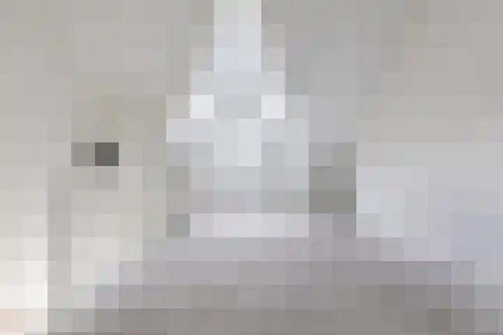 Koster Nelissenstraat 3 Oirlo thumbnail 25