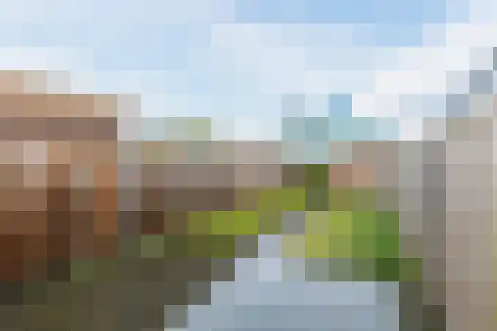 Koster Nelissenstraat 3 Oirlo thumbnail 30