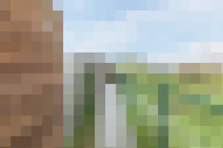 Koster Nelissenstraat 3 Oirlo thumbnail 31