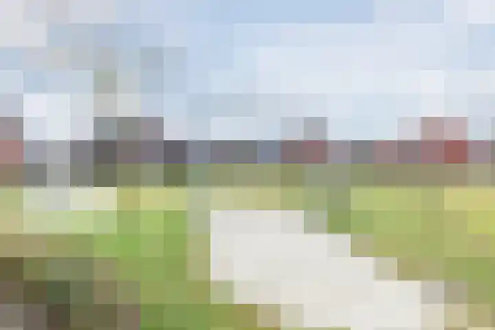 Koster Nelissenstraat 3 Oirlo thumbnail 35