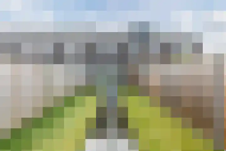 Koster Nelissenstraat 3 Oirlo thumbnail 4