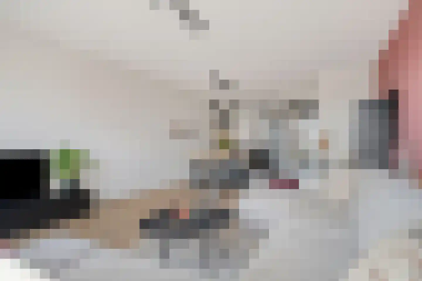 Koster Nelissenstraat 5 Oirlo thumbnail 10