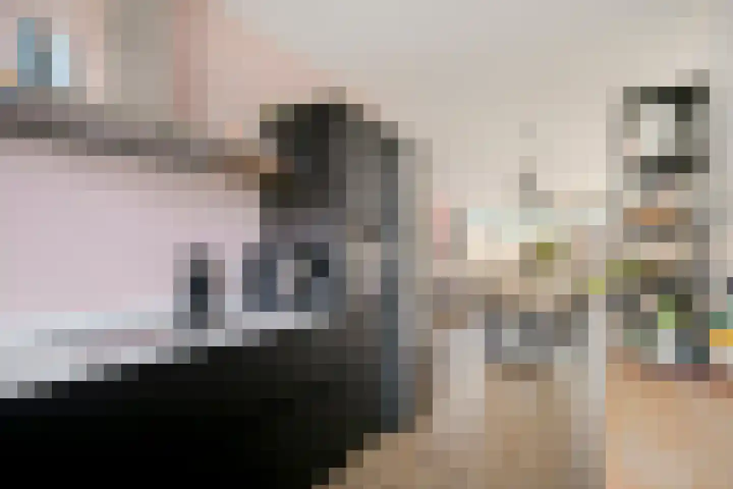 Koster Nelissenstraat 5 Oirlo thumbnail 14