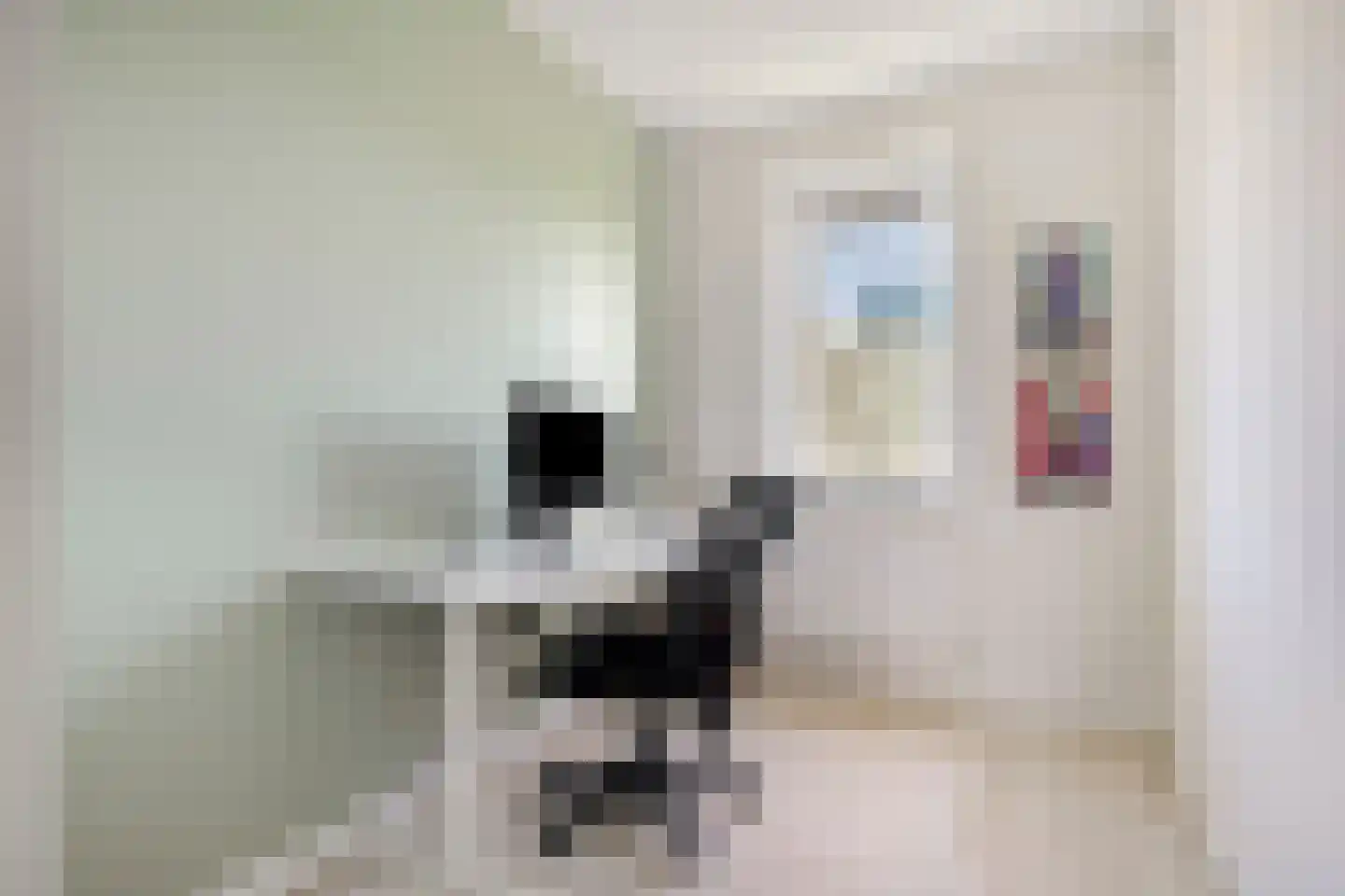 Koster Nelissenstraat 5 Oirlo thumbnail 23