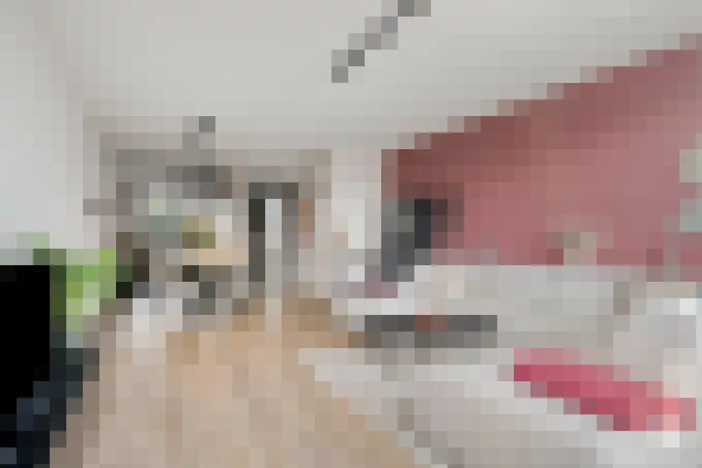 Koster Nelissenstraat 5 Oirlo thumbnail 9