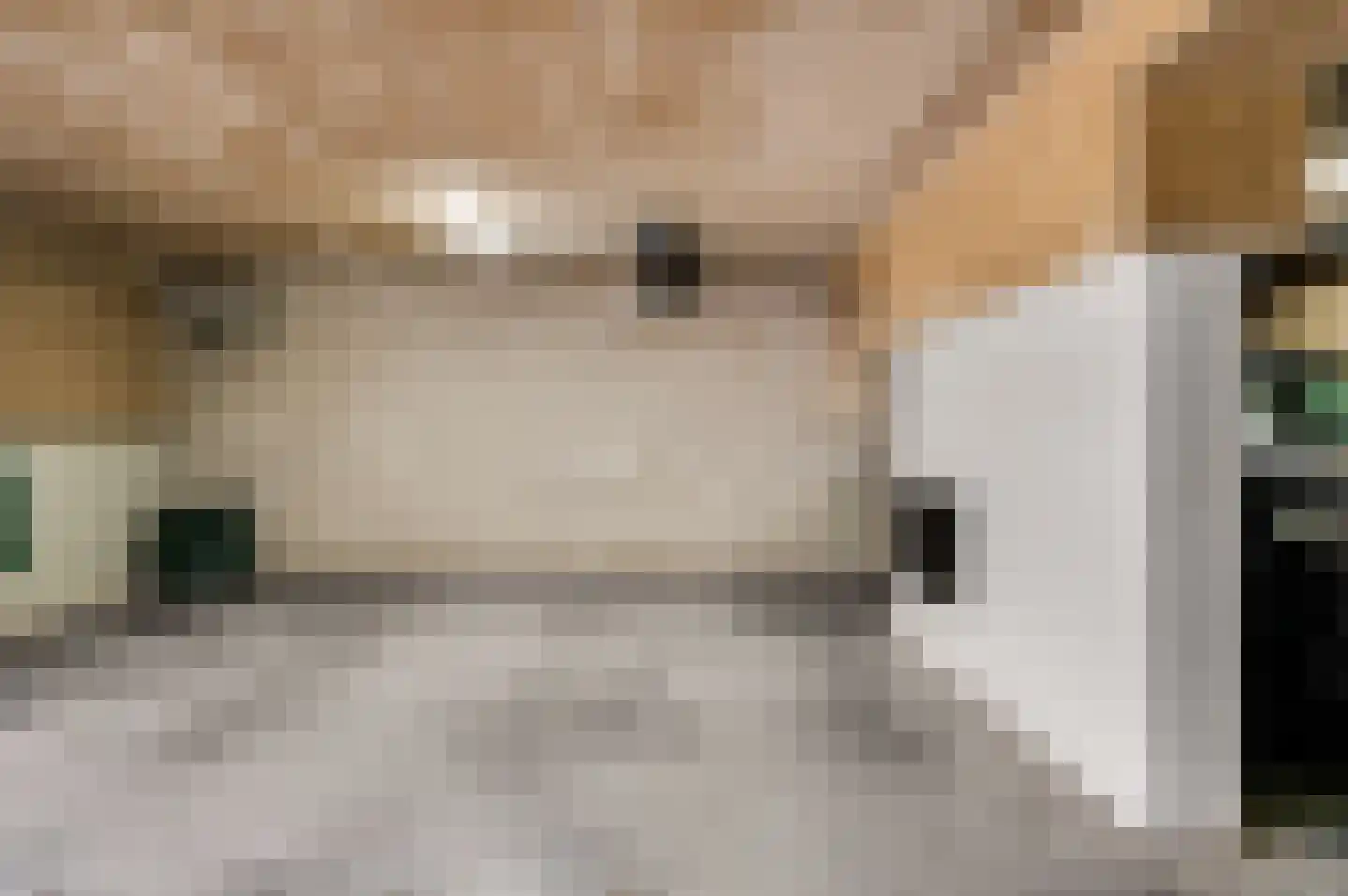 Kosterbeemden 74 Kerkrade thumbnail 28
