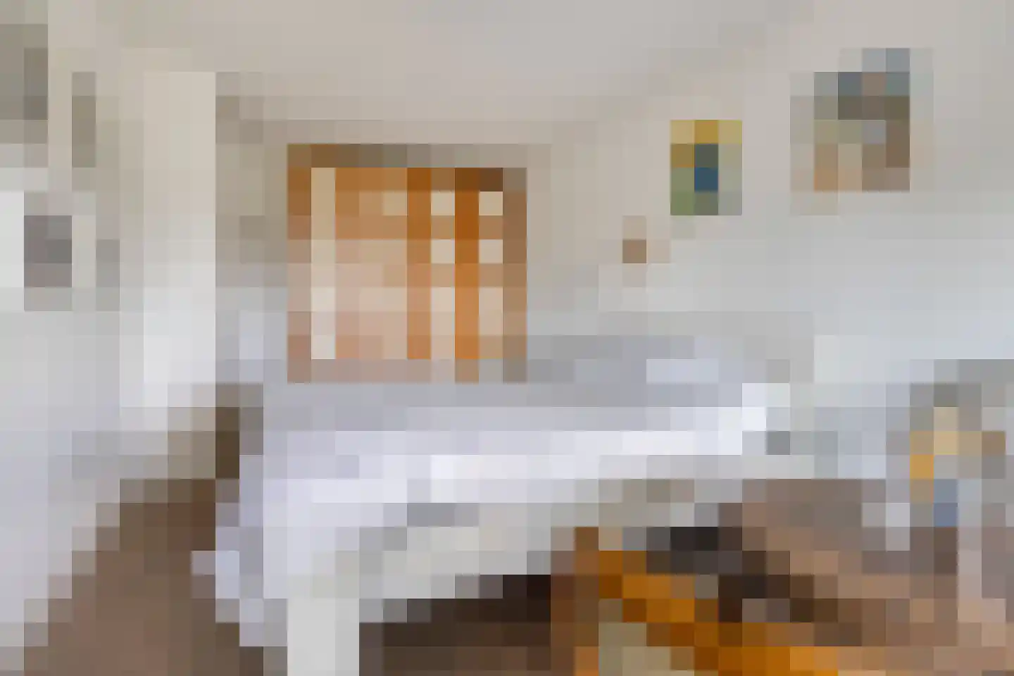 Kosterbeemden 76 Kerkrade thumbnail 12