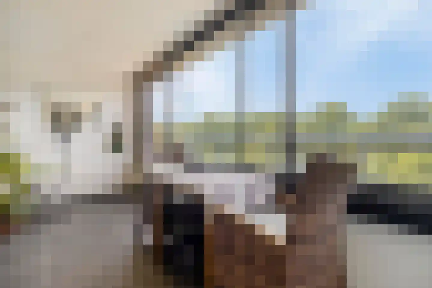 Kosterbeemden 76 Kerkrade thumbnail 13