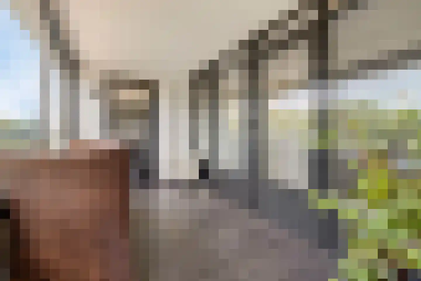 Kosterbeemden 76 Kerkrade thumbnail 15