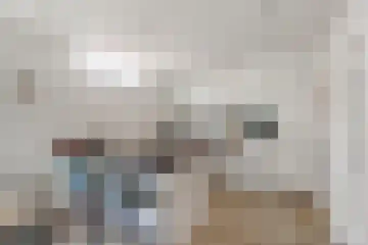 Kosterdijk 14 Waarder thumbnail 13