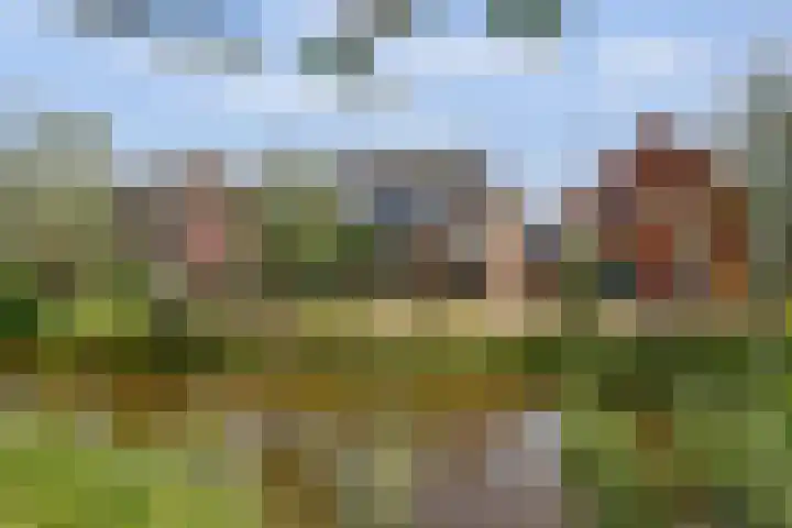 Kosterdijk 14 Waarder thumbnail 59