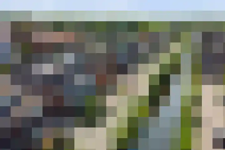 Kosterdijk 14 Waarder thumbnail 66