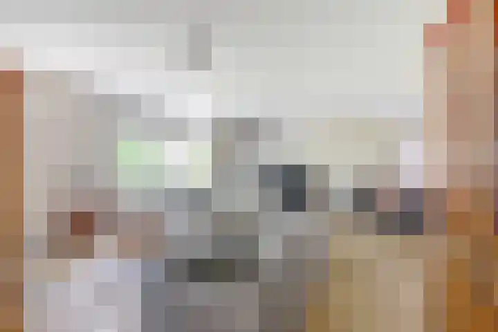 Kosterdijk 14 Waarder thumbnail 7