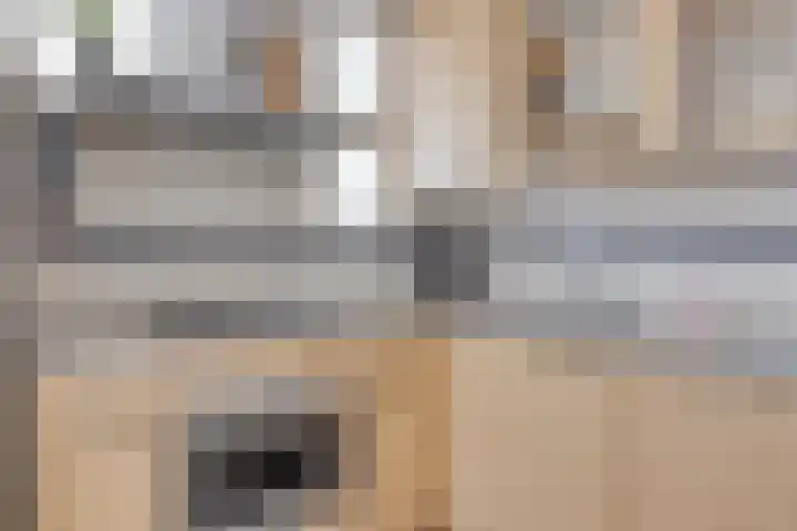 Kosterdijk 23 c Waarder thumbnail 6