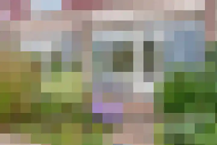 Kosterdijk 23 c Waarder thumbnail 7
