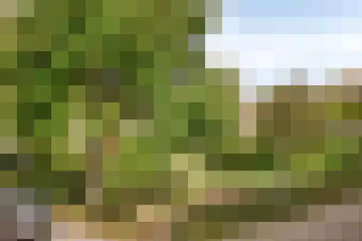 Kosterhof 1 Waalre thumbnail 19