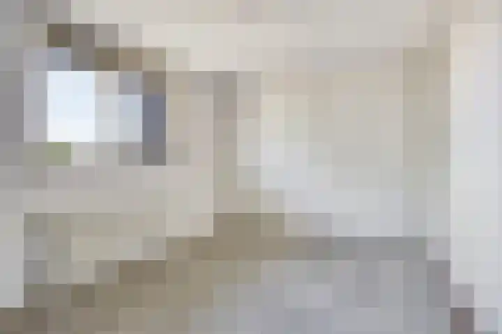 Kosterhof 13 Waalre thumbnail 18