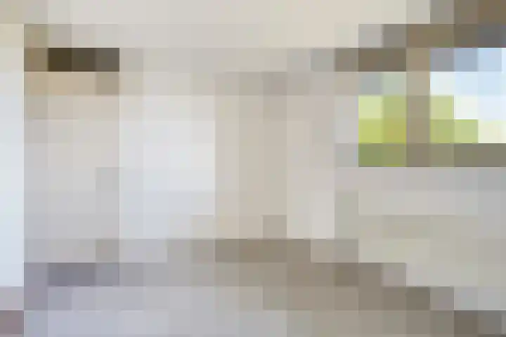 Kosterhof 13 Waalre thumbnail 19