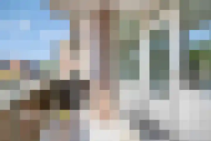 Kosterhof 13 Waalre thumbnail 24