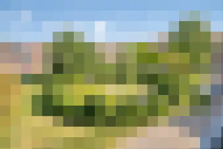Kosterhof 13 Waalre thumbnail 26