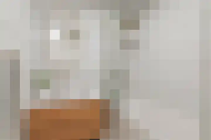 Kosterhof 13 Waalre thumbnail 6