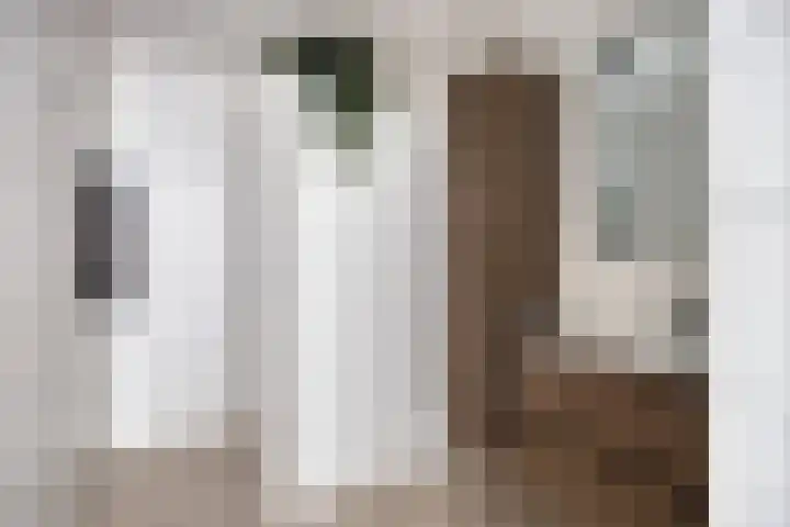 Kosterhof 2 Waalre thumbnail 34