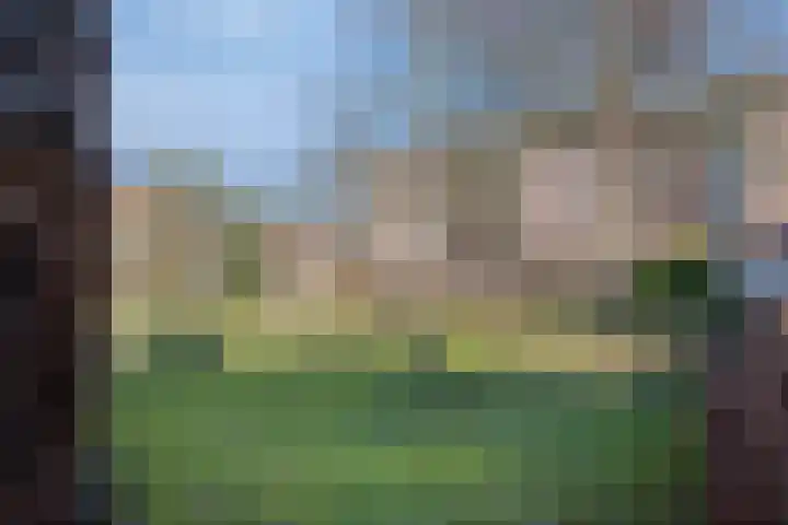 Kosterhof 2 Waalre thumbnail 45