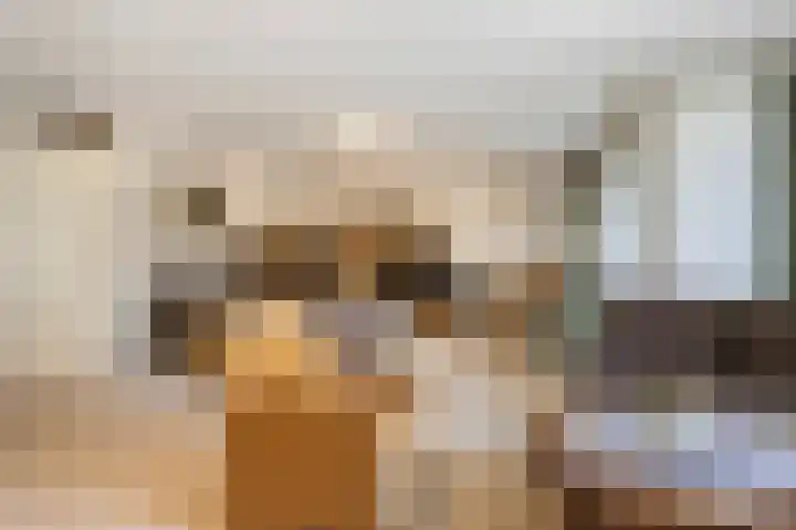 Kosterhof 26 Waalre thumbnail 10