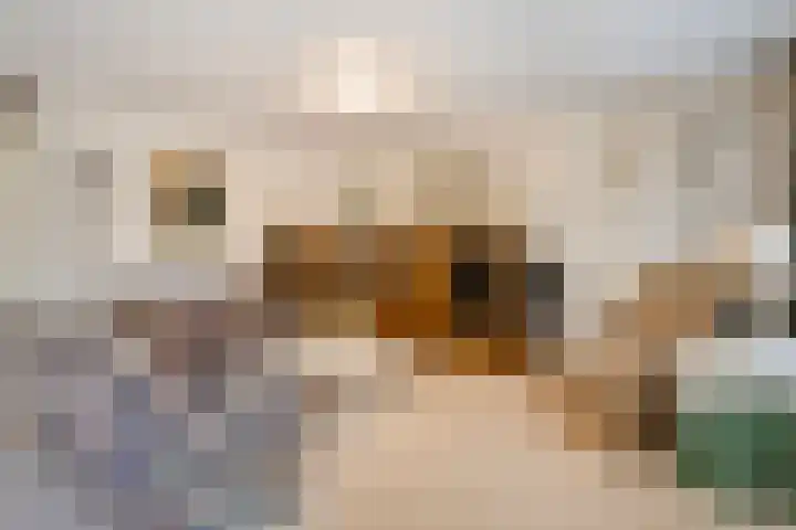 Kosterhof 26 Waalre thumbnail 11