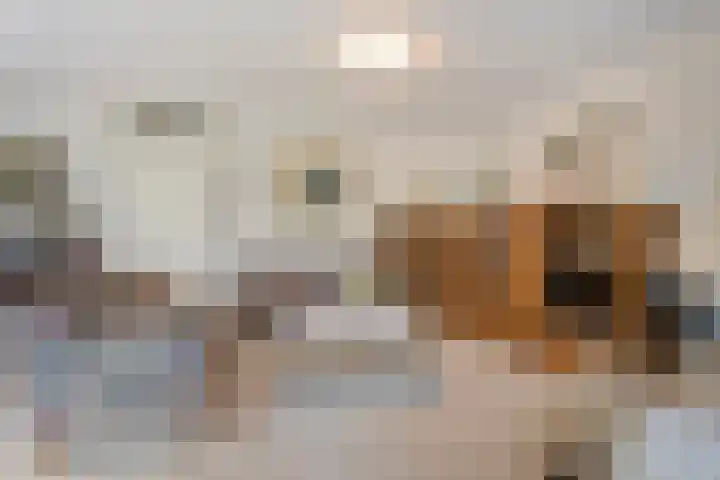 Kosterhof 26 Waalre thumbnail 12