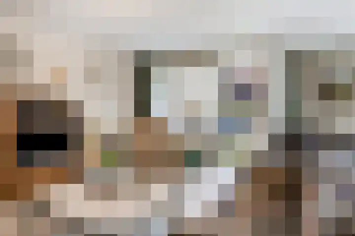 Kosterhof 26 Waalre thumbnail 14