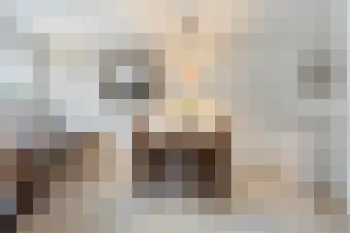 Kosterhof 26 Waalre thumbnail 16