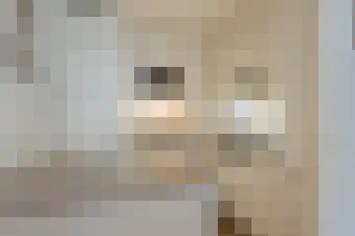 Kosterhof 26 Waalre thumbnail 17